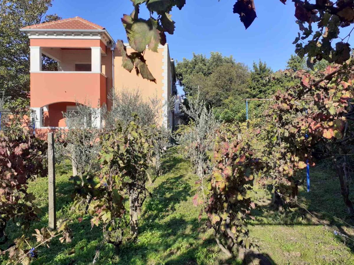 Apartments Rolovina Tivat Exterior photo