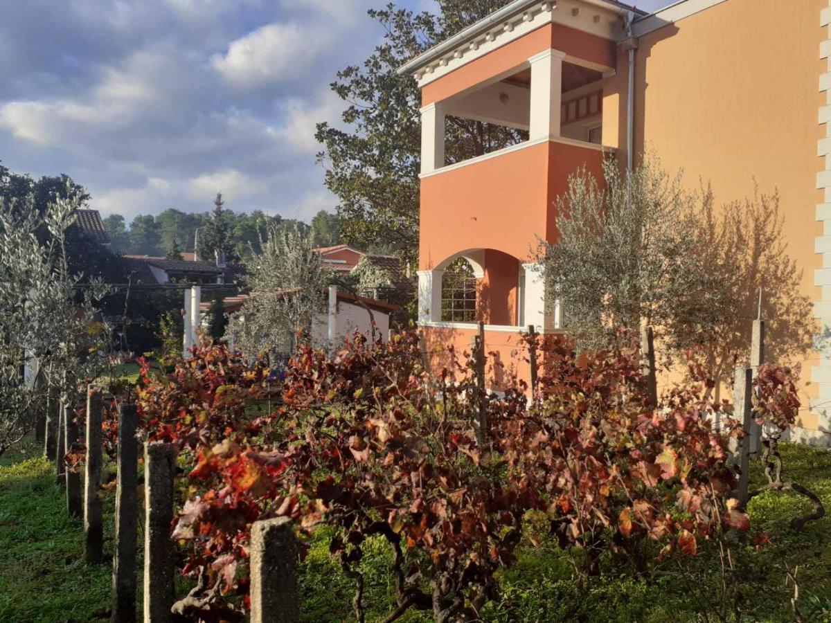 Apartments Rolovina Tivat Exterior photo