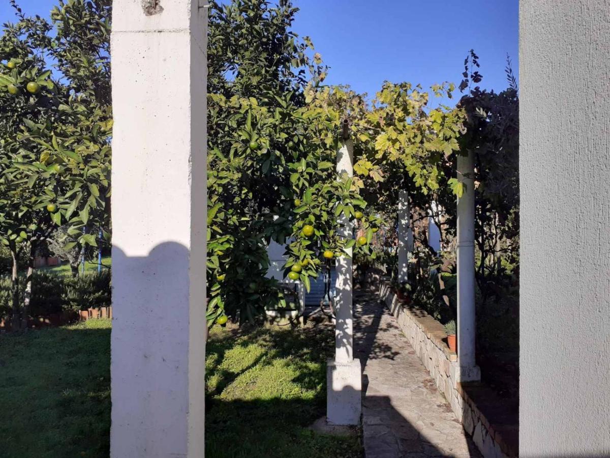 Apartments Rolovina Tivat Exterior photo