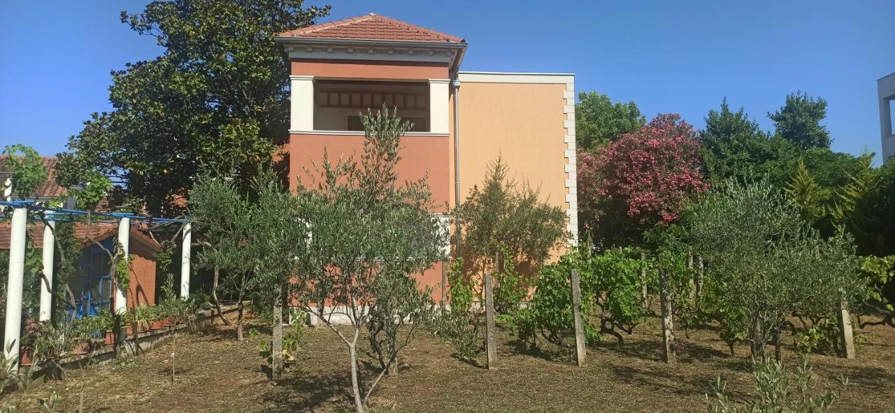 Apartments Rolovina Tivat Exterior photo